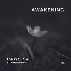 Awakening (feat. Aimee Botes)