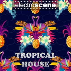 Electroscene Tropical House