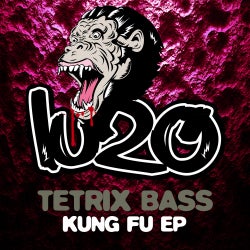 Tetrix Bass - Kung Fu EP Chart