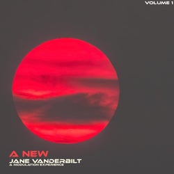 JANE VANDERBILT A NEW MODULATION EXPERIENCE
