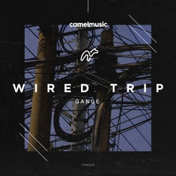 Wired Trip