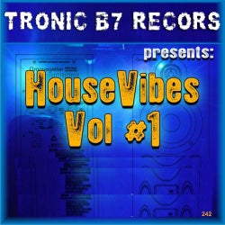 House Vibes Vol 01
