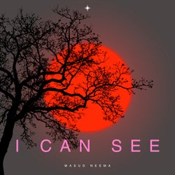 I Can See