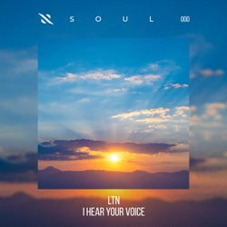 I Hear Your Voice