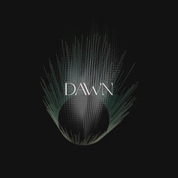 Dawn
