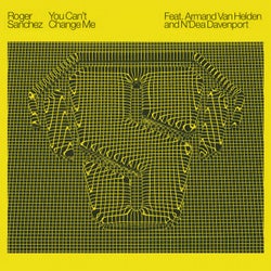 You Can't Change Me (feat. Armand Van Helden & N'Dea Davenport)