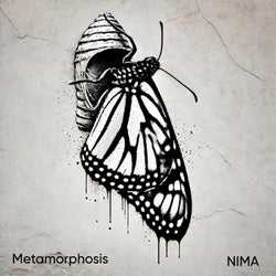 Metamorphosis