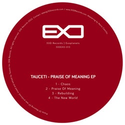Praise Of Meaning EP
