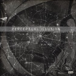 Perceptual Illusion