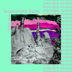 Homeostatic Loops (Extended)