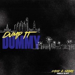 Dump It Dummy