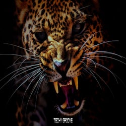 Cheetah / Sultan