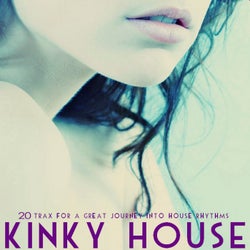 Kinky House (20 Trax for a Great Journey into House Rhythms)