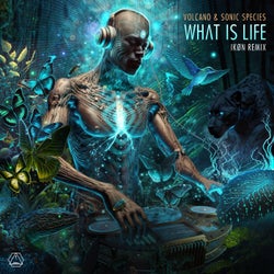 What Is Life (Ikøn Remix)