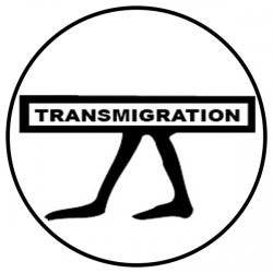 Transmigration