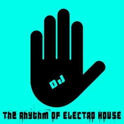 The Rhythm of Electro House