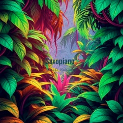 Saxopiano