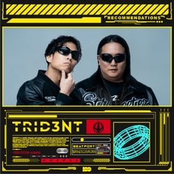TRID3NT Recommendations