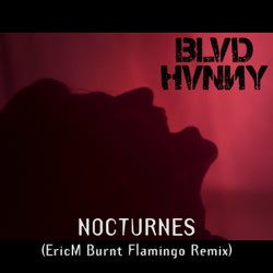 Nocturnes (EricM Burnt Flamingo Remix)