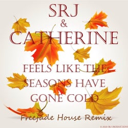Feels Like the Seasons Have Gone Cold (Freefade House Remix)