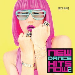 New Dance Hits Now Vol. 2