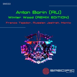 Winter Wood [REMIX EDITION]