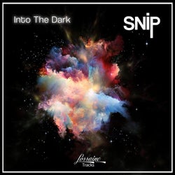 Into The Dark (feat. Uli Brodersen & Achim Rafain)