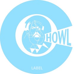 Hwlsd020