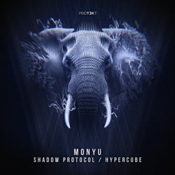 Shadow Protocol/Hypercube