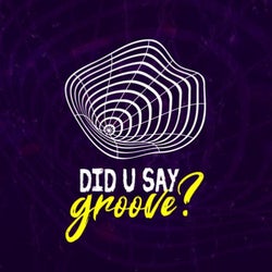 Did U Say Groove