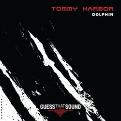 Dolphin