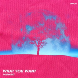 What You Want