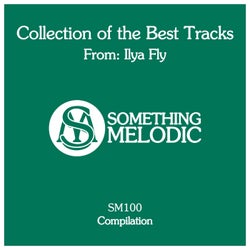 Collection of the Best Tracks From: Ilya Fly