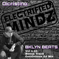 Bklyn Beats, Vol. 1-10