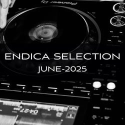Endica Selection - June ’25
