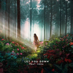 Let You Down (feat. Veda)