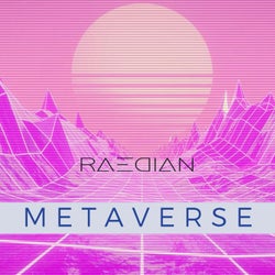 METAVERSE