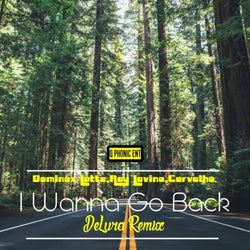 I Wanna Go Back (DeLura Remixes)