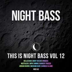 This is Night Bass: Vol. 12