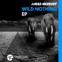 Wild Nothing EP