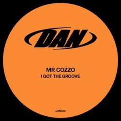 I Got the Groove