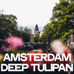 Amsterdam Deep Tulipan
