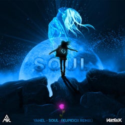 Yahel - soul (kupidox remix)