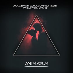 What You Want (Extended Mix)