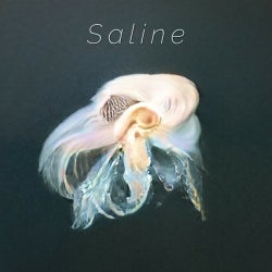 Saline