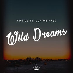Wild Dreams (feat. Junior Paes)