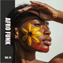 Afro Funk Vol 14