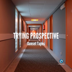 Trying Prospective (Radio Edit)