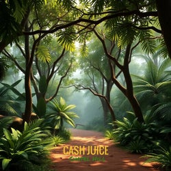 Cash Juice