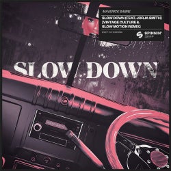 Pochette pour Slow Down (feat. Jorja Smith) (Vintage Culture & Slow Motion Extended Remix)
